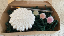 Paint Your Own Bath Bombs Kit