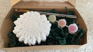 Paint Your Own Bath Bombs Kit
